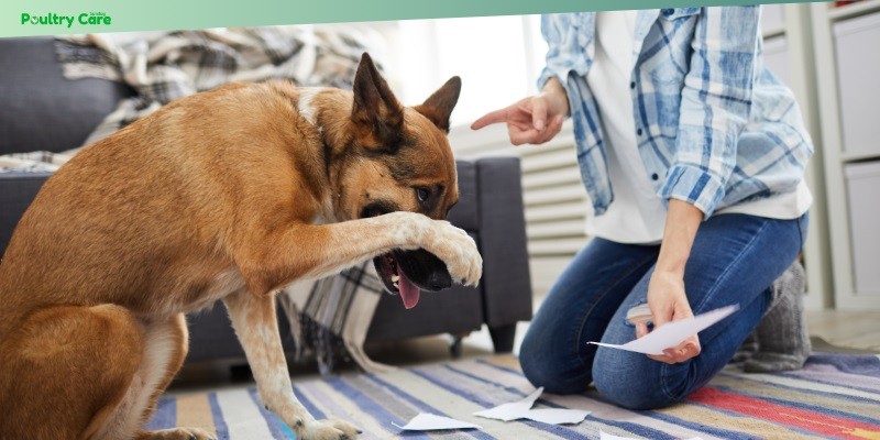 how to handle fear-based behaviors