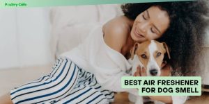 best air freshener for dog smell