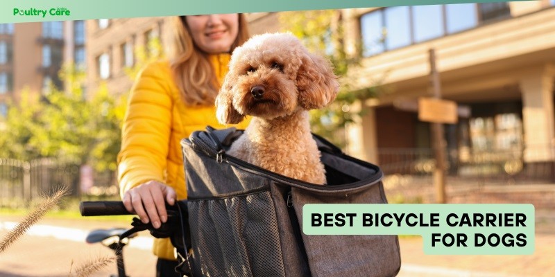 best bicycle carrier for dogs
