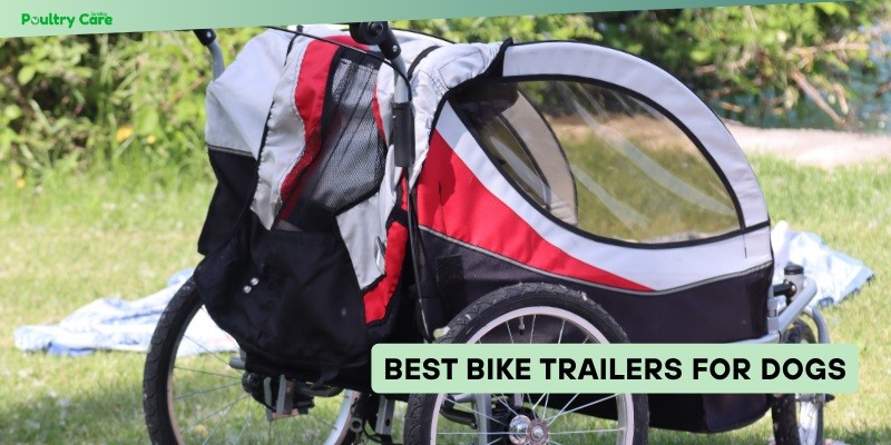 best bike trailers for dogs