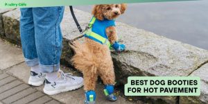 best dog booties for hot pavement