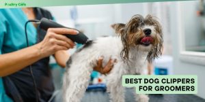 best dog clippers for groomers