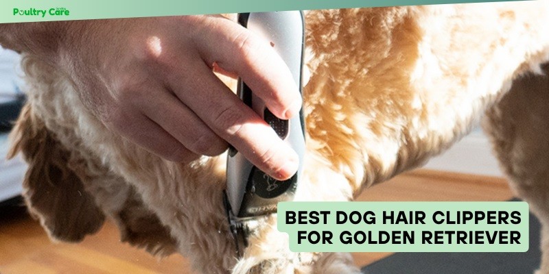 best dog hair clippers for golden retriever