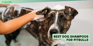 best dog shampoos for pitbulls