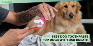 best dog toothpaste for dogs with bad breath