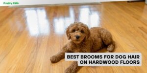 best brooms for dog hair on hardwood floors