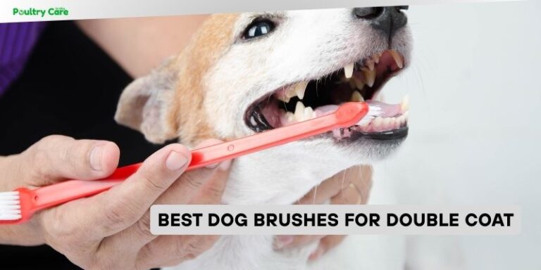 Photo inspiration: Blend Nylon Plush Coated Spinning Dog Brush With Different Firmness Reference: Our 8 Best Dog Brushes For Double Coat 2026 Top