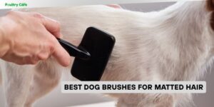 best dog brushes for matted hair