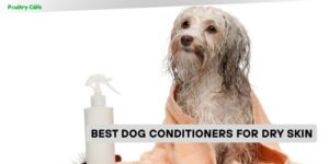 best dog conditioners for dry skin
