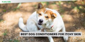 best dog conditioners for itchy skin