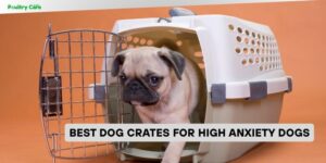 best dog crates for high anxiety dogs