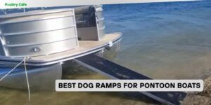 best dog ramps for pontoon boats
