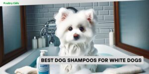 best dog shampoos for white dogs