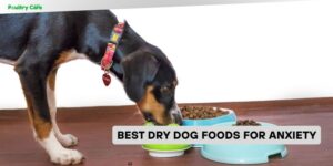 best dry dog foods for anxiety