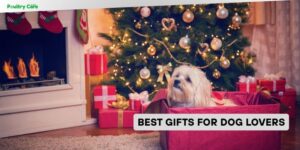 best gifts for dog lovers