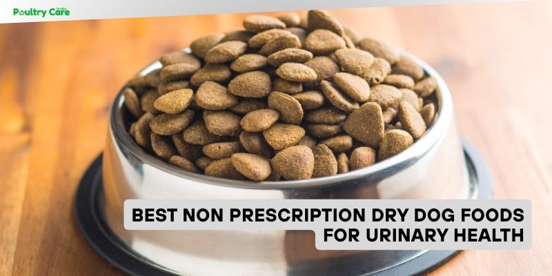 best non prescription dry dog foods for urinary health