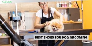 best shoes for dog grooming