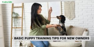 Basic Puppy Training Tips For New Owners