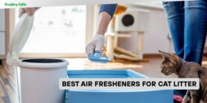 best air fresheners for cat litter