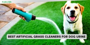 best artificial grass cleaners for dog urine