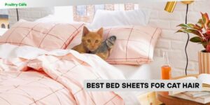 best bed sheets for cat hair