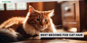 best brooms for cat hair
