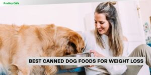 best canned dog foods for weight loss