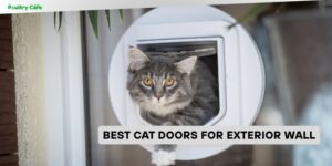 best cat doors for exterior wall