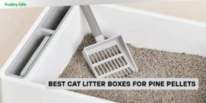 best cat litter boxes for pine pellets