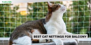 best cat nettings for balcony