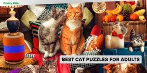best cat puzzles for adults
