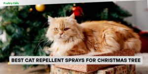 best cat repellent sprays for christmas tree