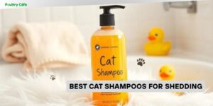 best cat shampoos for shedding
