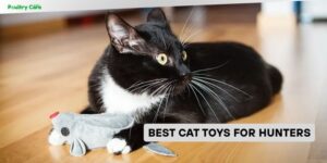best cat toys for hunters