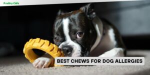 best chews for dog allergies