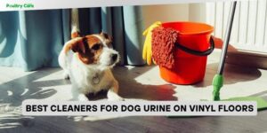 best cleaners for dog urine on vinyl floors