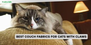 best couch fabrics for cats with claws