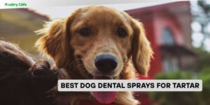 best dog dental sprays for tartar