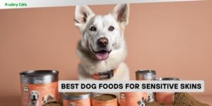 best dog foods for sensitive skins