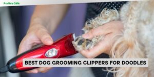 best dog grooming clippers for doodles
