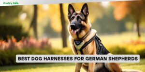 best dog harnesses for german shepherds