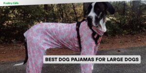 best dog pajamas for large dogs