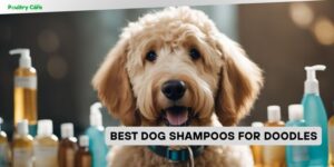 best dog shampoos for doodles