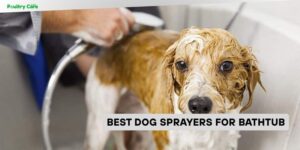 best dog sprayers for bathtub