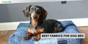 best fabrics for dog bed