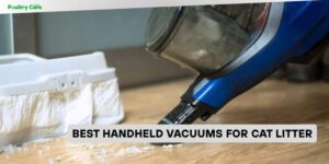 best handheld vacuums for cat litter