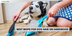 best mops for dog hair on hardwood