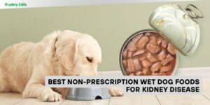 best non-prescription wet dog foods for kidney disease