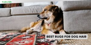 best rugs for dog hair
