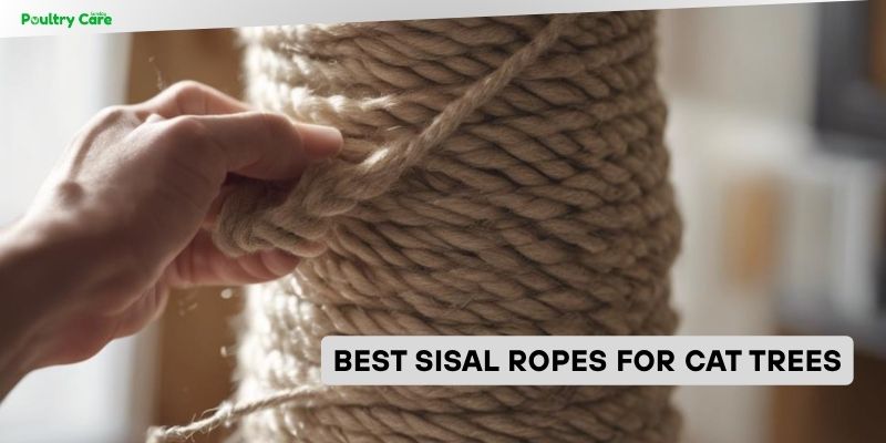 best sisal ropes for cat trees
